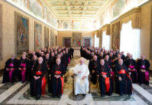 Visita ‘ad limina’