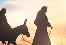 Charla de motivación en la Catedral y encuentro de formación litúrgica ‘Peregrinos de Esperanza’ para iniciar el Adviento